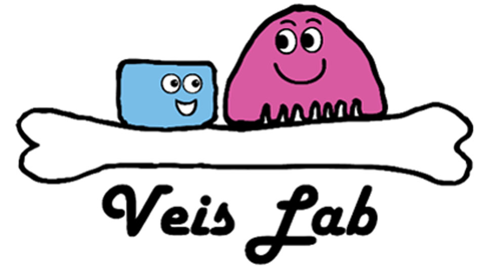 Veis Lab | Division of Bone and Mineral Diseases | Washington ...