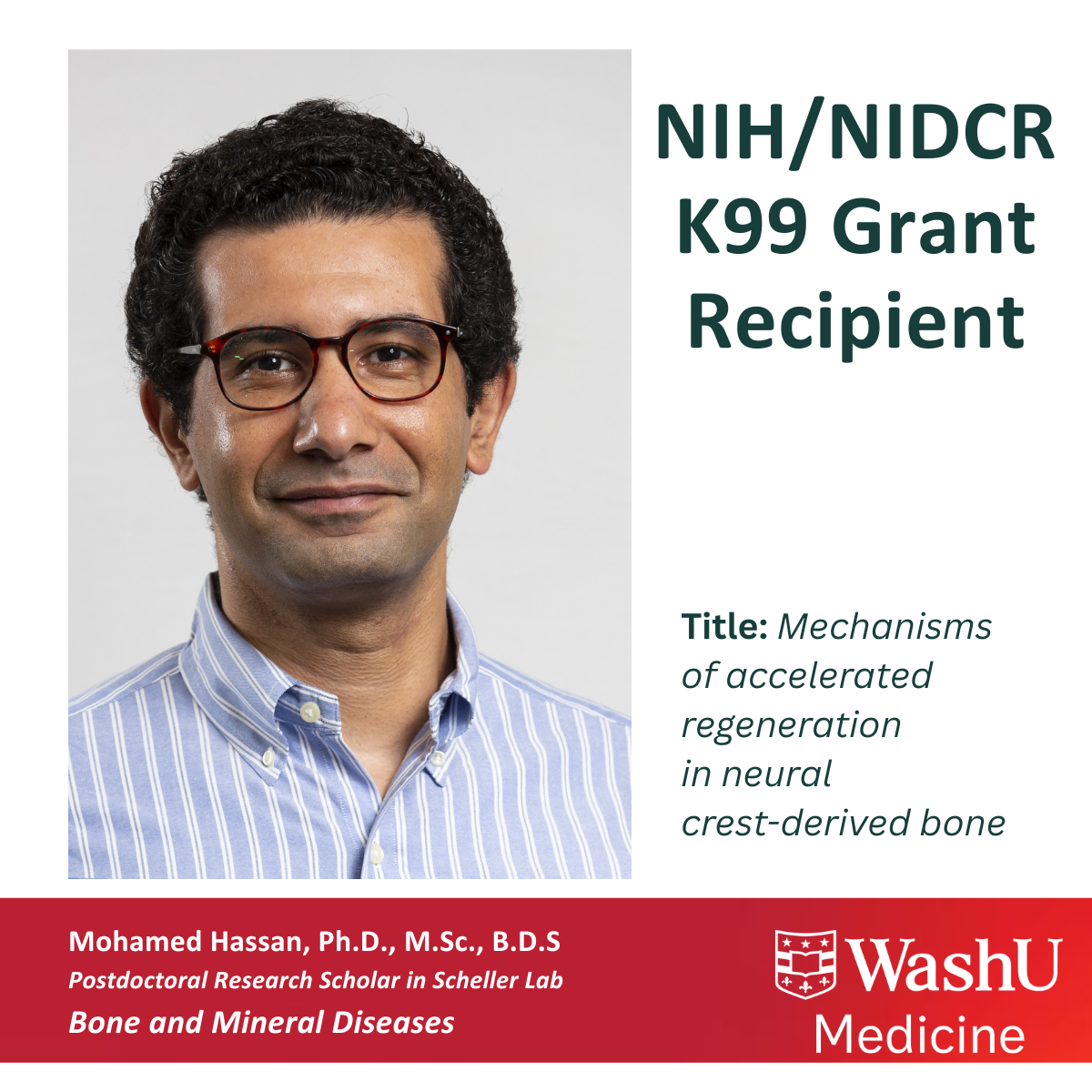 Mohamed Hassan, Ph.D., M.Sc., B.D.S. receives K99 Grant