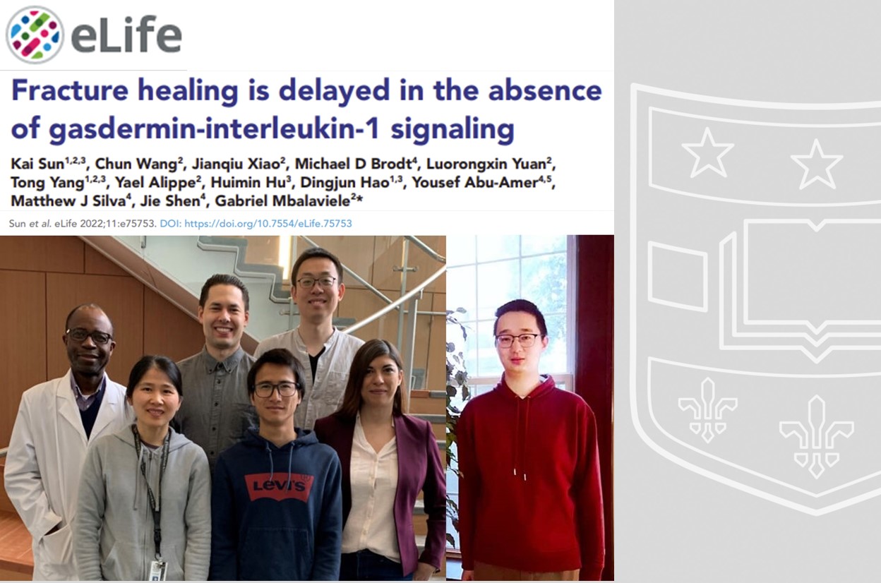 Mbalaviele Lab and Colleagues Published in eLife