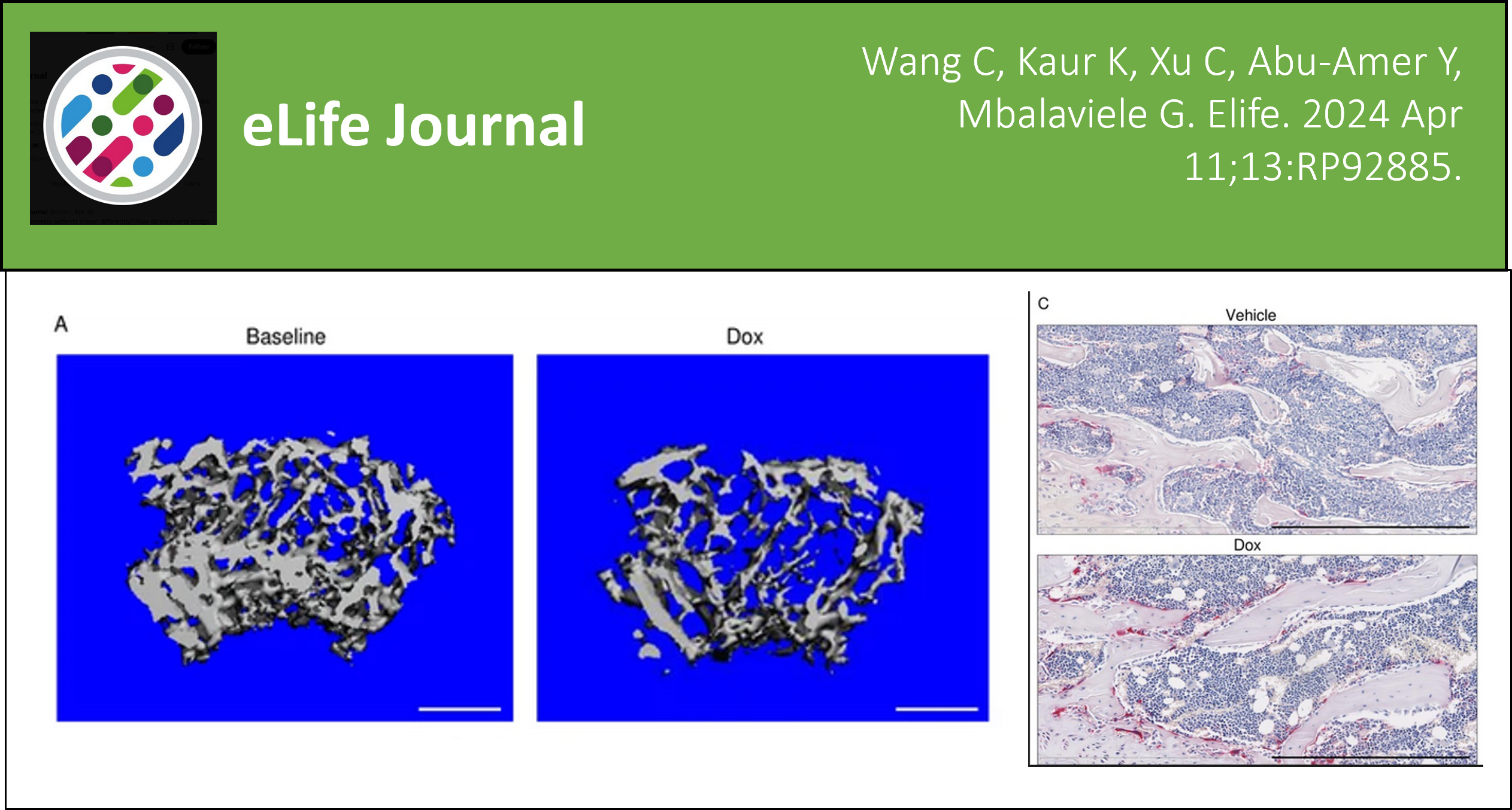Mbalaviele Lab Published in eLife.